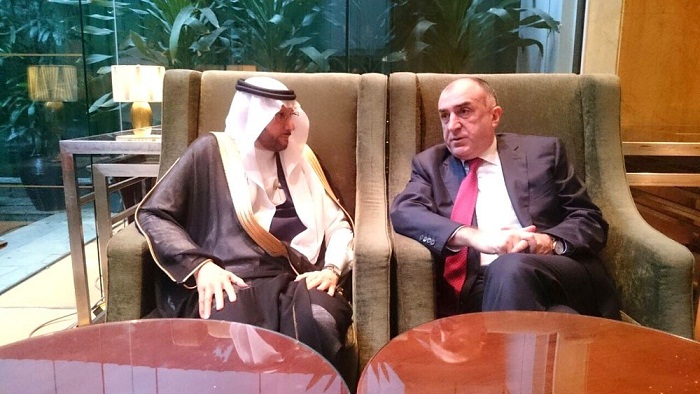 Azerbaijan`s FM meets Secretary General of OIC 